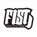 FISTAUTO沸斯特头像