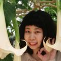 坤坤的土拨鼠头像