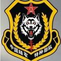 飞鹰105头像