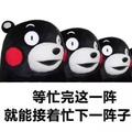 别把善良当猫粮头像