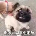 回忆仿佛昨天头像