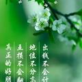 70后6018头像