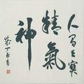 胡马依风786头像