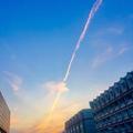 飞絮876头像