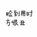 桔子树再开花头像