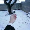 鹿儿亡在玫瑰海 · 星越L车主·车龄1年头像