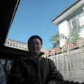 陈留宝树杏林头像