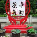 訫巳瀡風飄头像