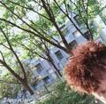 听说改名能赚钱头像