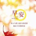 爱拼才会赢1575头像