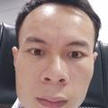 桀骜不驯的飞鸟头像