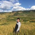马志飞566头像