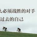 2473852840445头像
