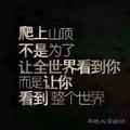 维尼熊出没头像