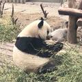 VASZMYS头像