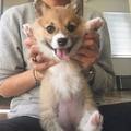 吹走霾云的风头像