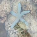 上野621 · 星愿车主·车龄半年头像