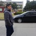 放飞梦的飞翔头像