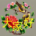 缘情飘香雪海头像