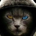 顶级熊猫Ocv头像