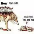 一切都是最好的912头像