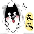纸鸢7351头像