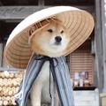 玛玛卡756头像