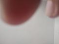 桑尼考里昂头像