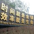 为你而来2154头像