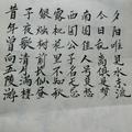 王师17308013364头像