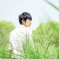 山谷里的思念620头像