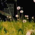 春大001头像