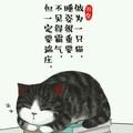 不吃鱼的猫先生1头像