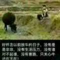 最幸福的人430头像