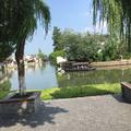 阿炳5415头像