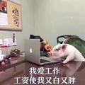 A_资生堂私人定制菜菜头像