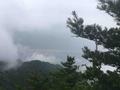 我要回农村962头像
