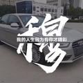 用户100688525476头像
