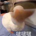 用户6075425569490头像