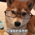 埃及金字塔总代理头像