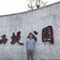 VipYang_头像