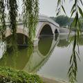 张权红868头像