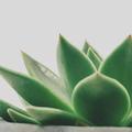 看看再说978头像