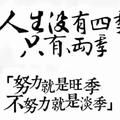 云海听涛9148头像