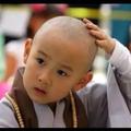 仁小宁头像