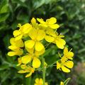率性而活123头像
