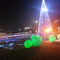 随风而去732头像