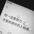 不凡喜鹊ZKQ头像