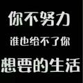 荒莽智者头像