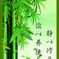 让梦飞翔518头像
